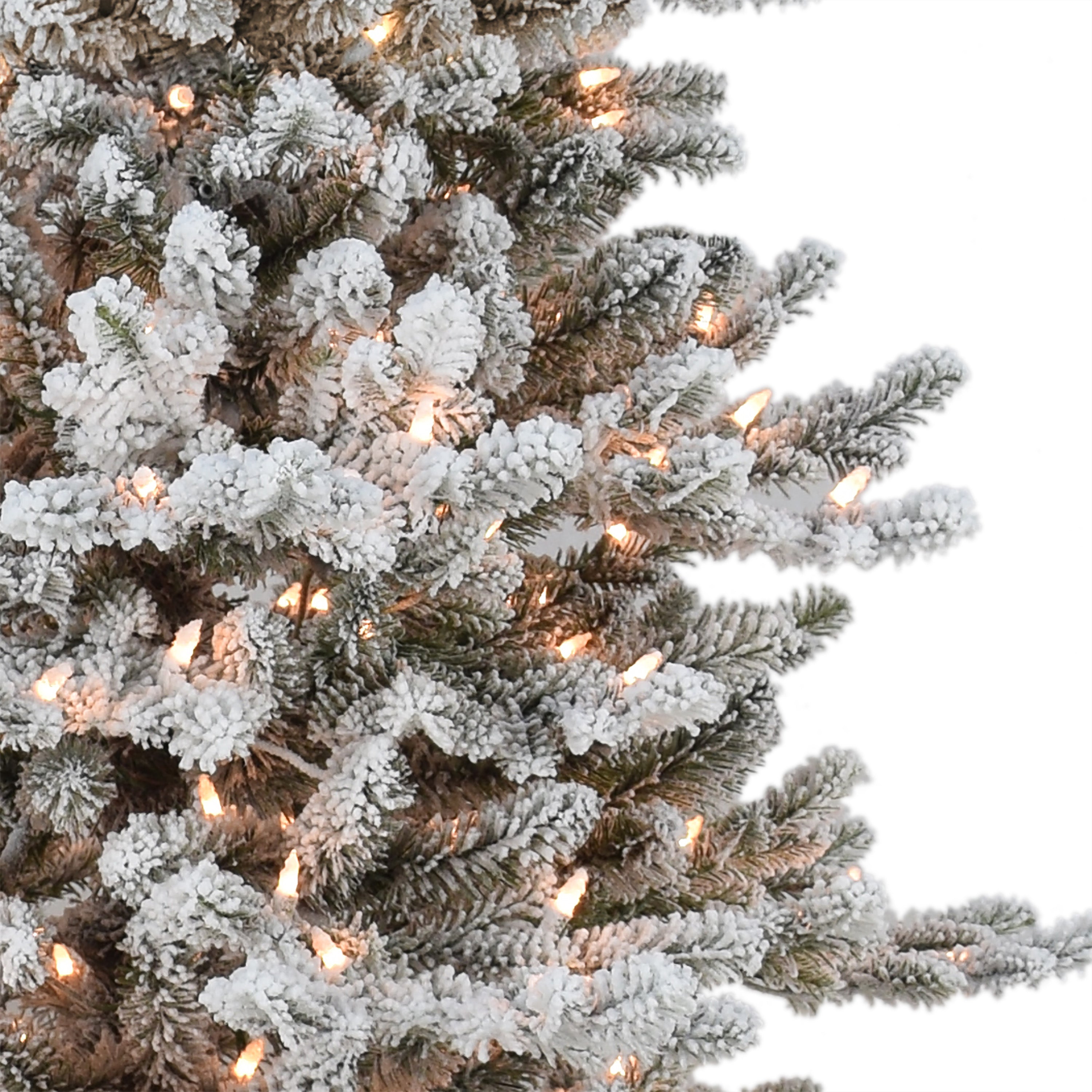 7.5ft Pre-lit Flocked Slim Royal Majestic Douglas Fir Downswept Christmas Tree